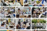 치매환자지원프로그램-공기정화식물 가드닝 